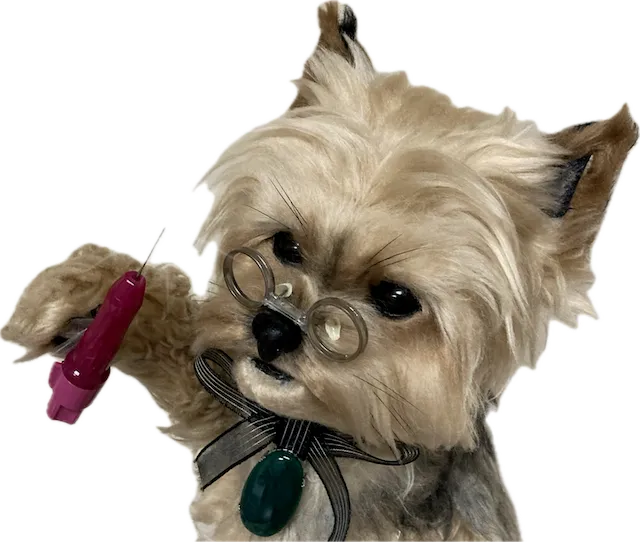 ジョン・ローケン